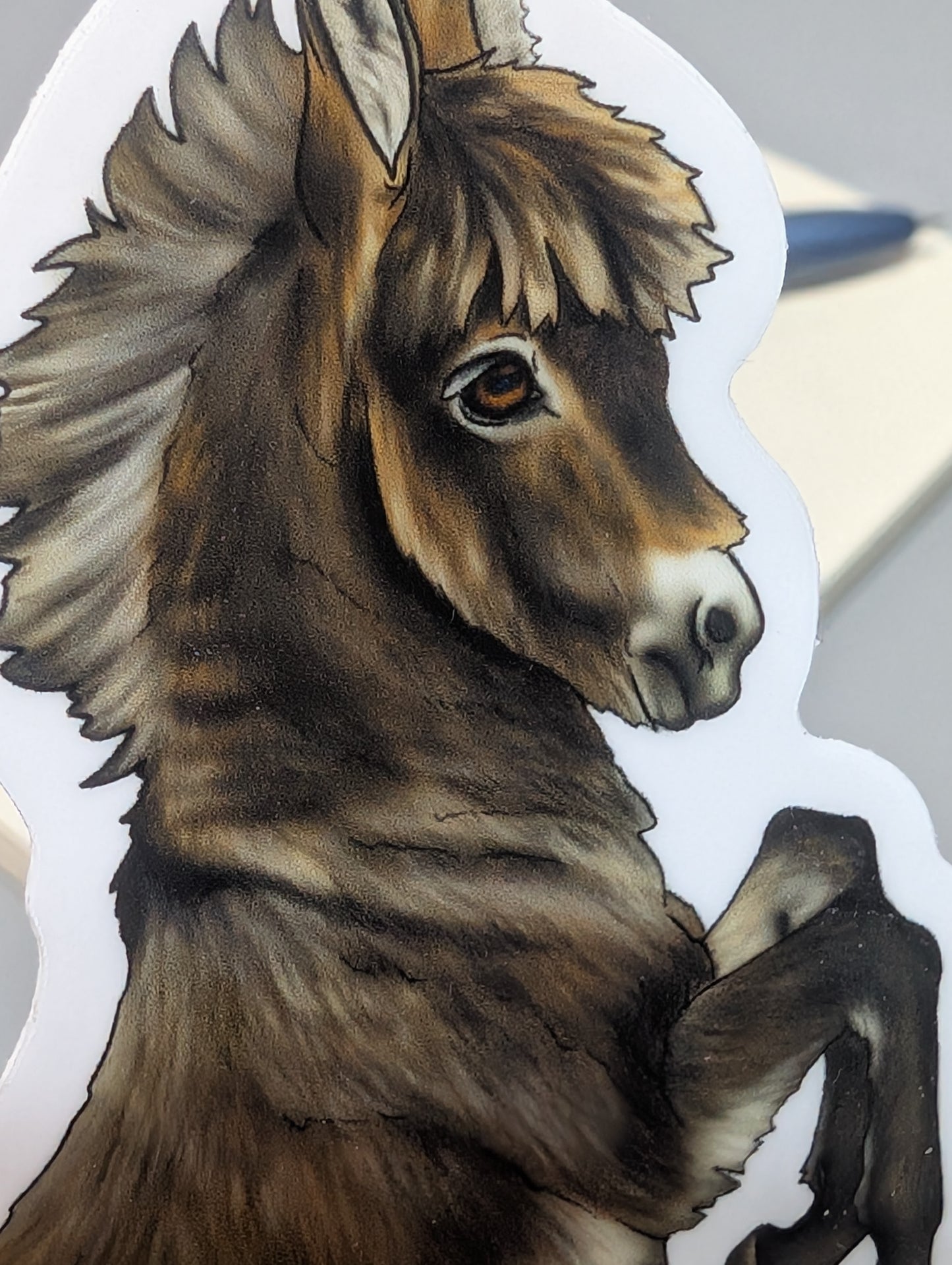 Donkey Foal Sticker