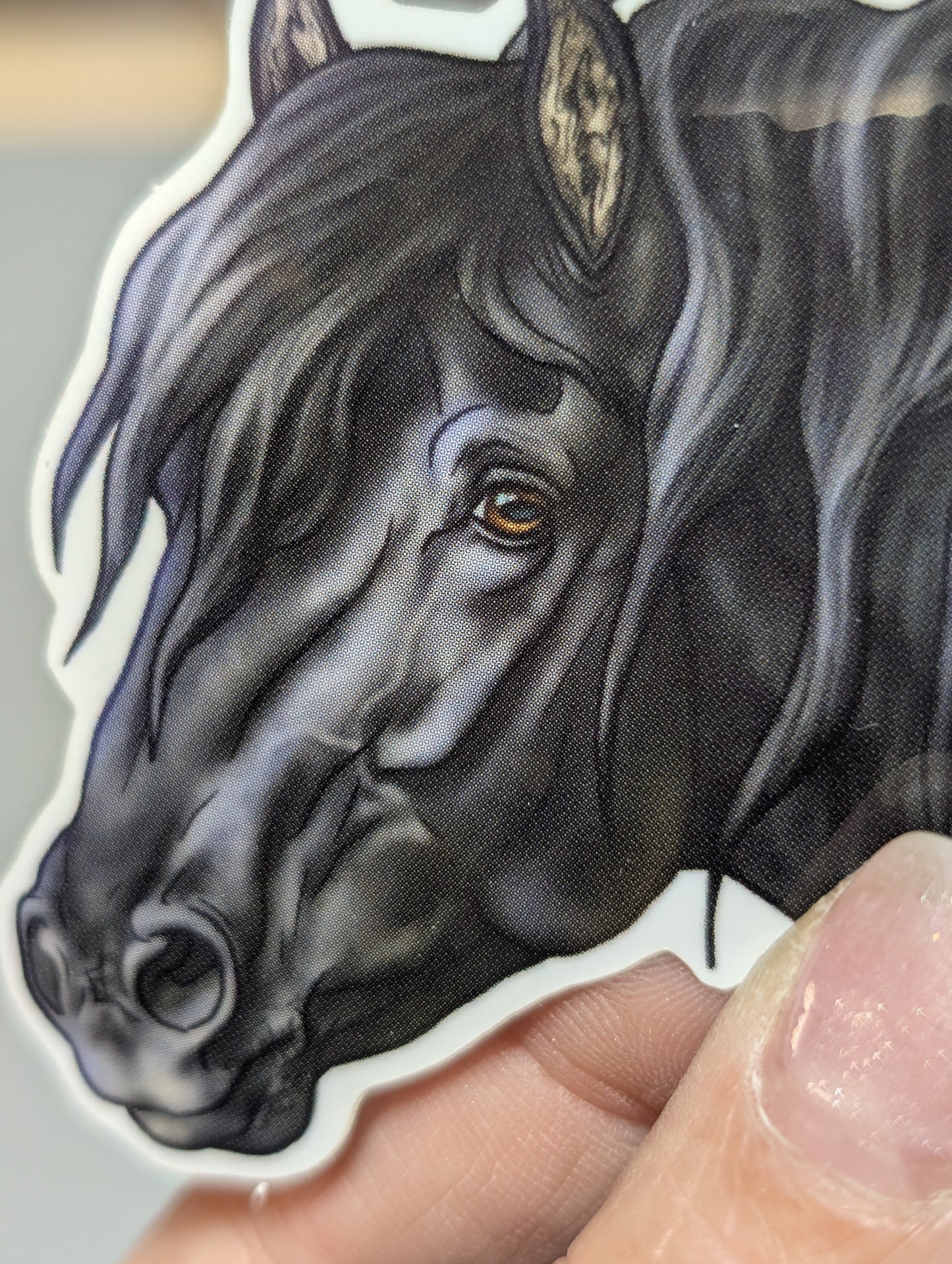 Canadian Wild Horse Wildie Sticker