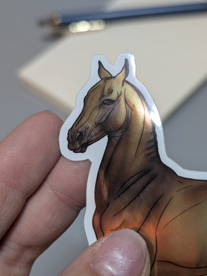Buckskin Akhal Teke Sticker