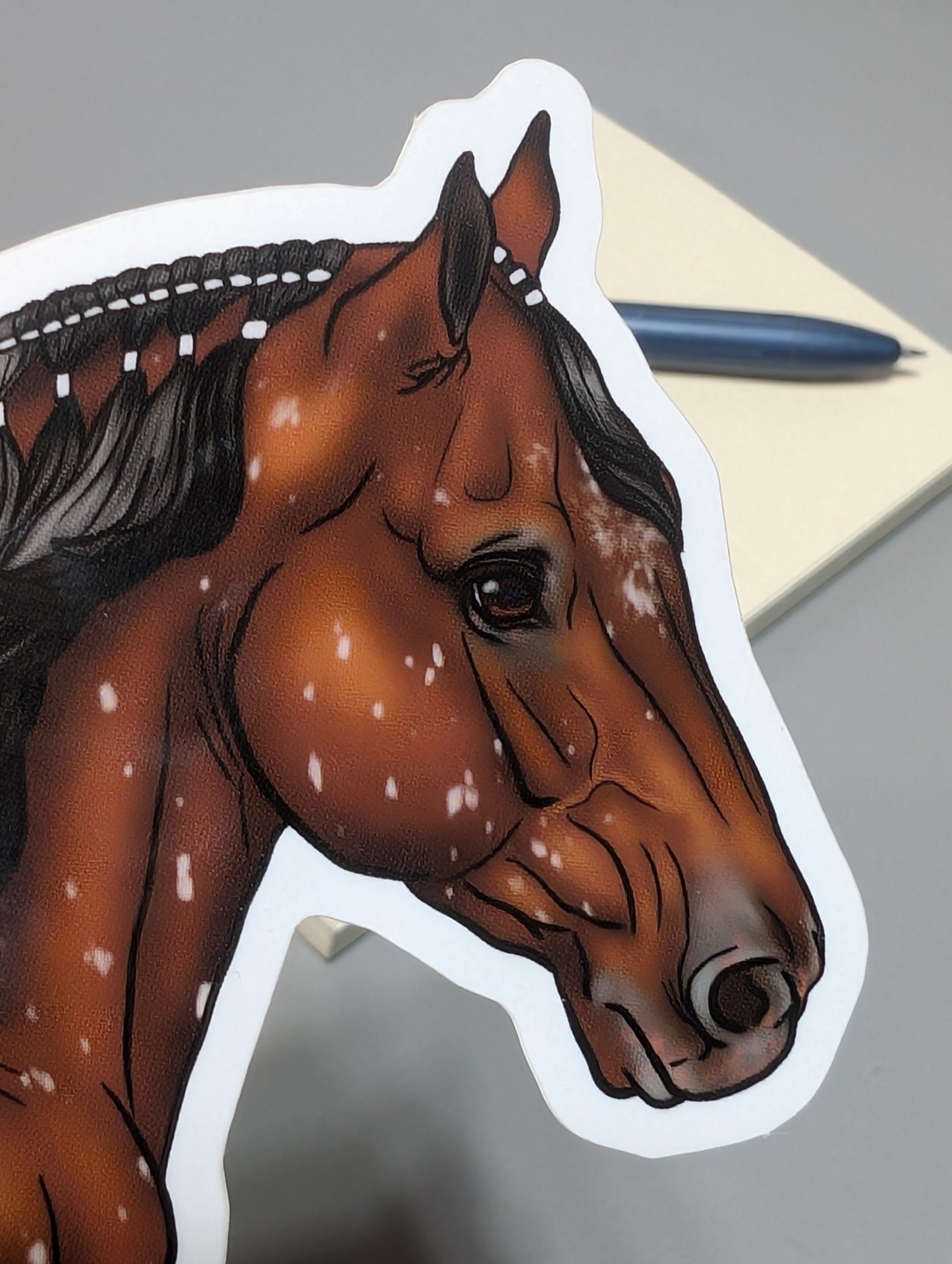 Snowflake Appaloosa Sticker