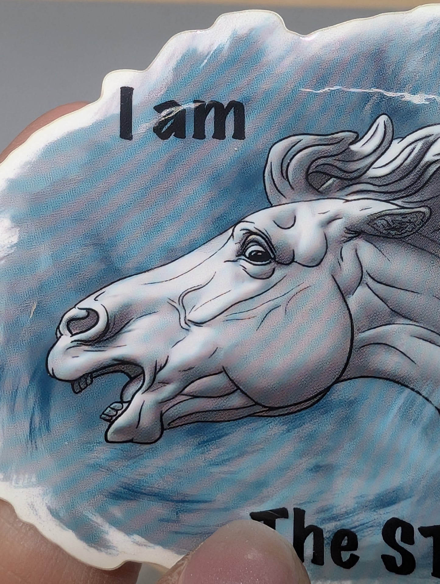 I Am The Storm Horse Sticker
